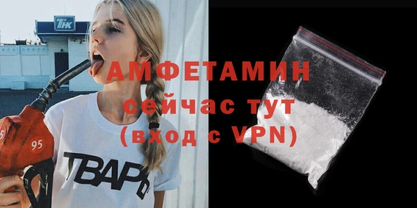 мдпв Дмитриев