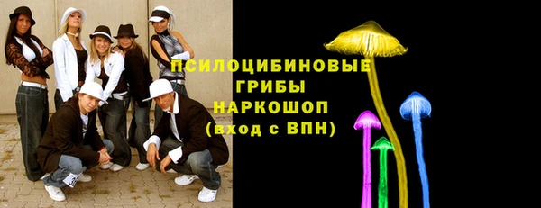 тгк Дмитров