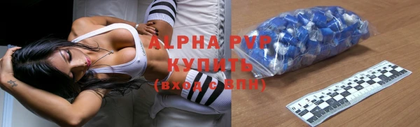 тгк Дмитров