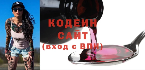 мдпв Дмитриев