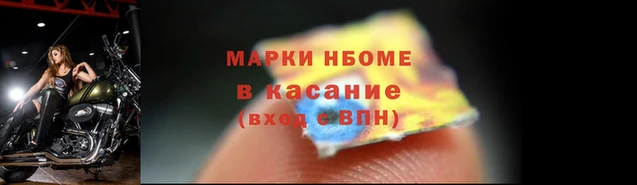 тгк Дмитров