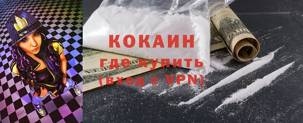тгк Дмитров