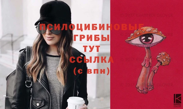 мдпв Дмитриев